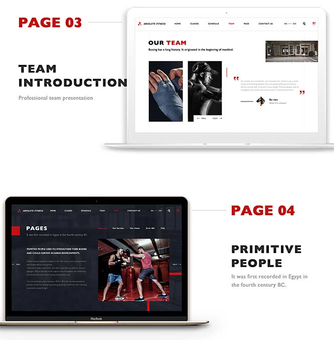 洪湖網站建設,洪湖seo