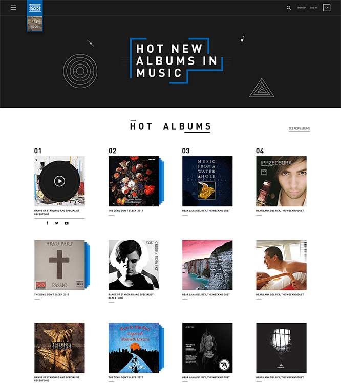 洪湖網站建設,洪湖seo