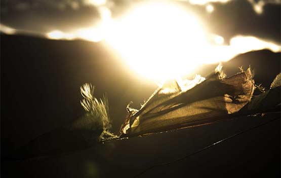 【網站建設】響應式網站的概念及識別方法,現階段網站建設行業的發展趨勢 【網站建設】響應式網站的概念及識別方法,現階段網站建設行業的發展趨勢