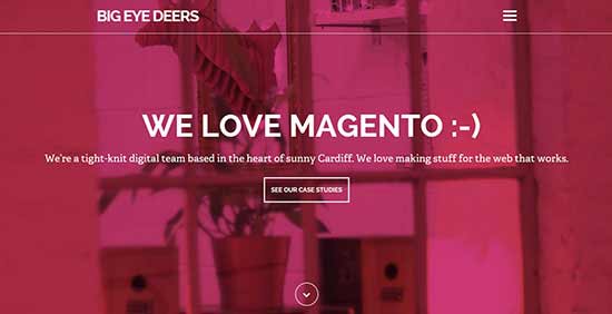 一個干凈而內容豐富的網站設計